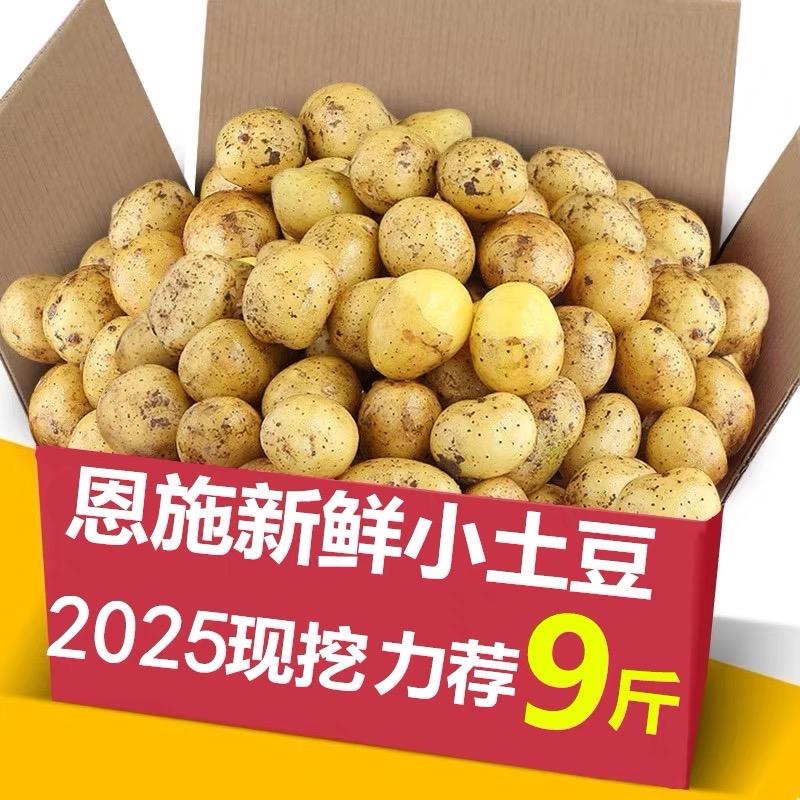 周记鲜果1号