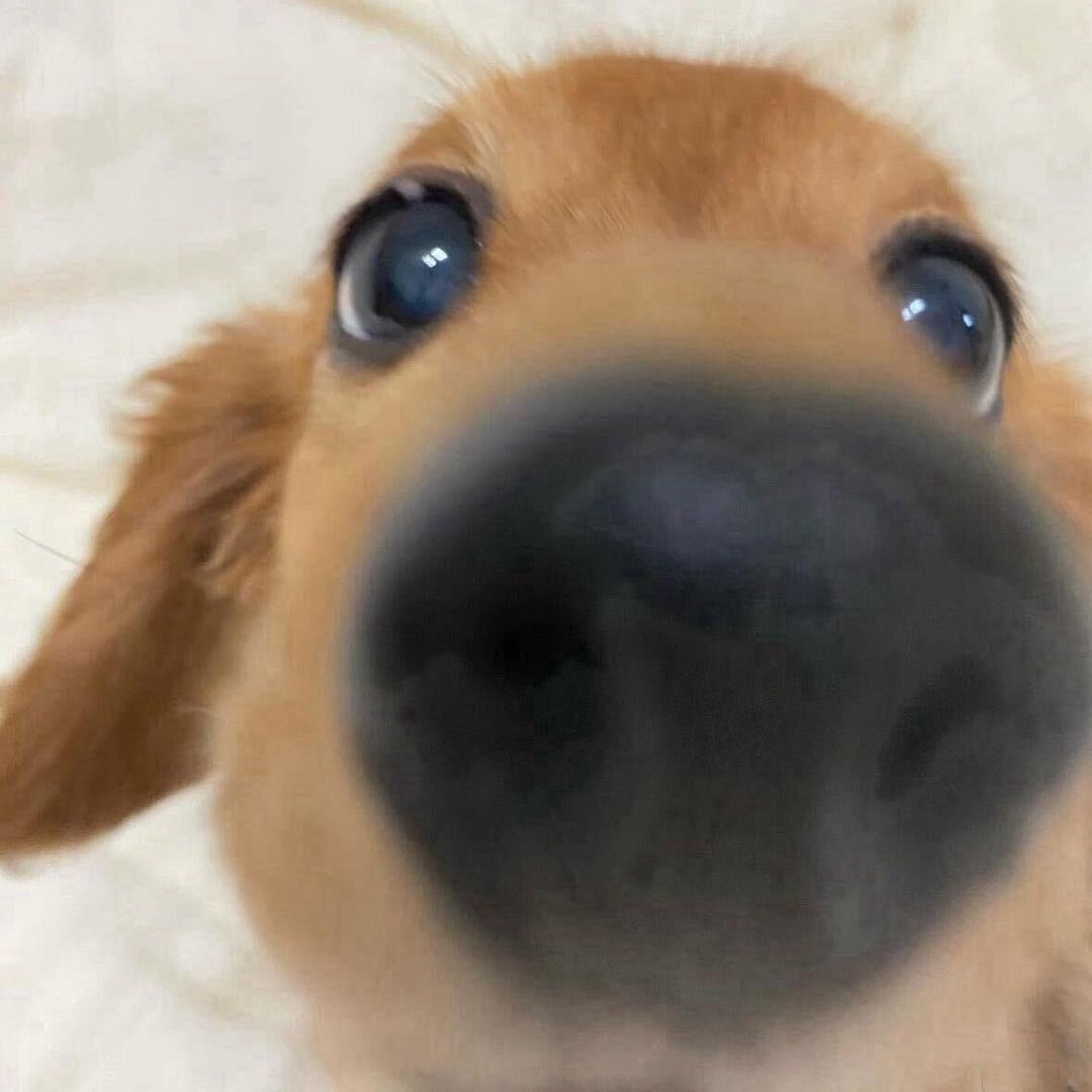 我是tt7