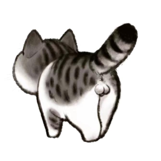 积极向上的骚猫猫