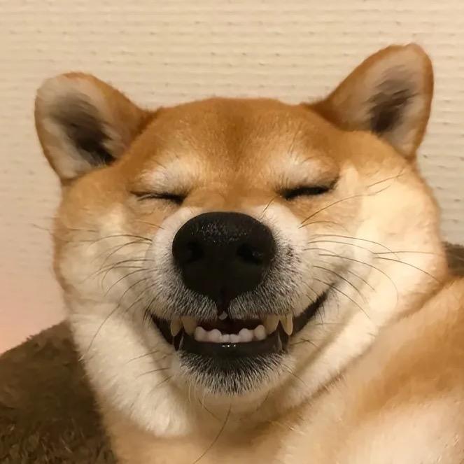 炸毛可乐🥕