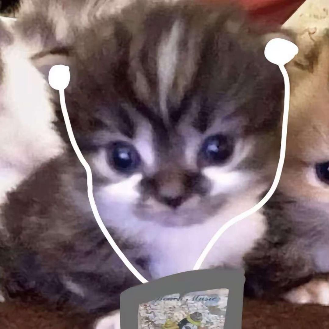 朴灿烈世萌一