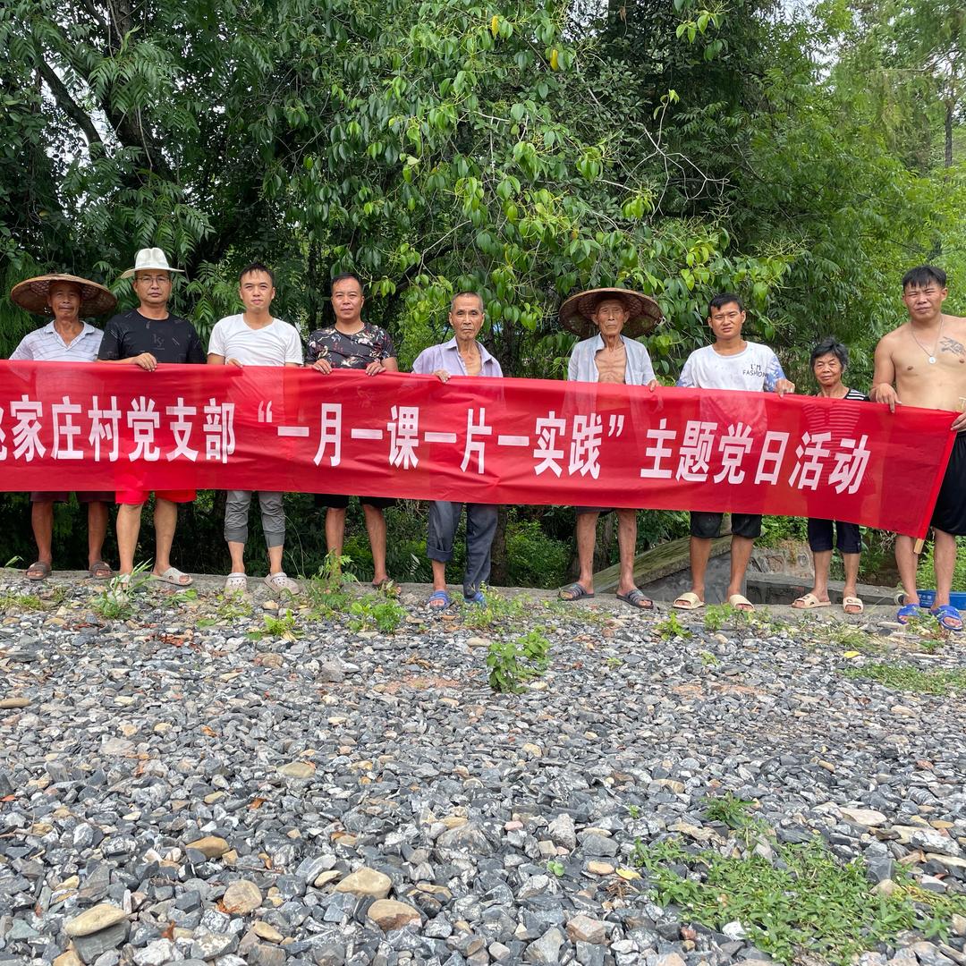 苗乡翼龙