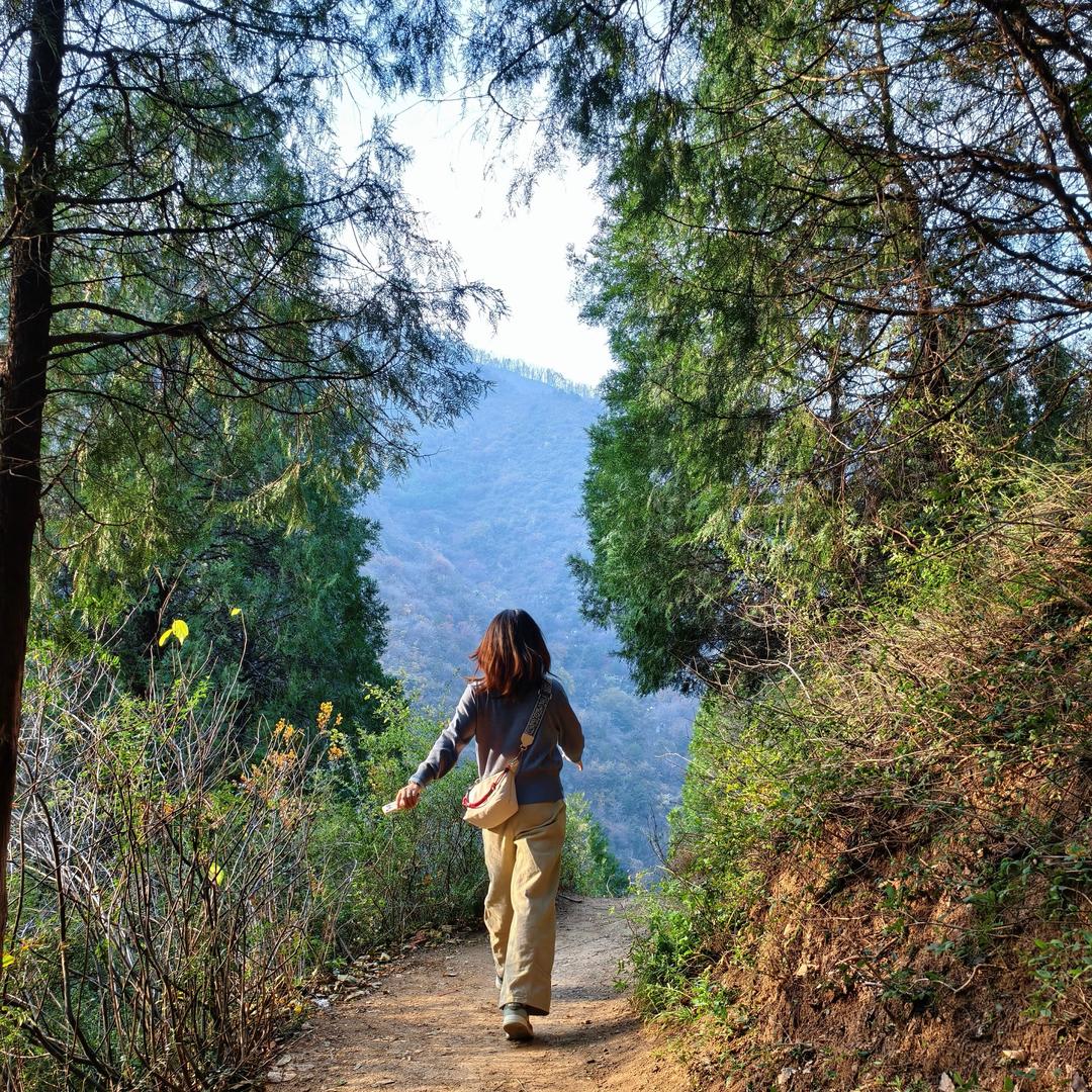 不瘦了爱咋咋地吧