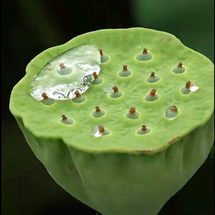 冷静的发疯