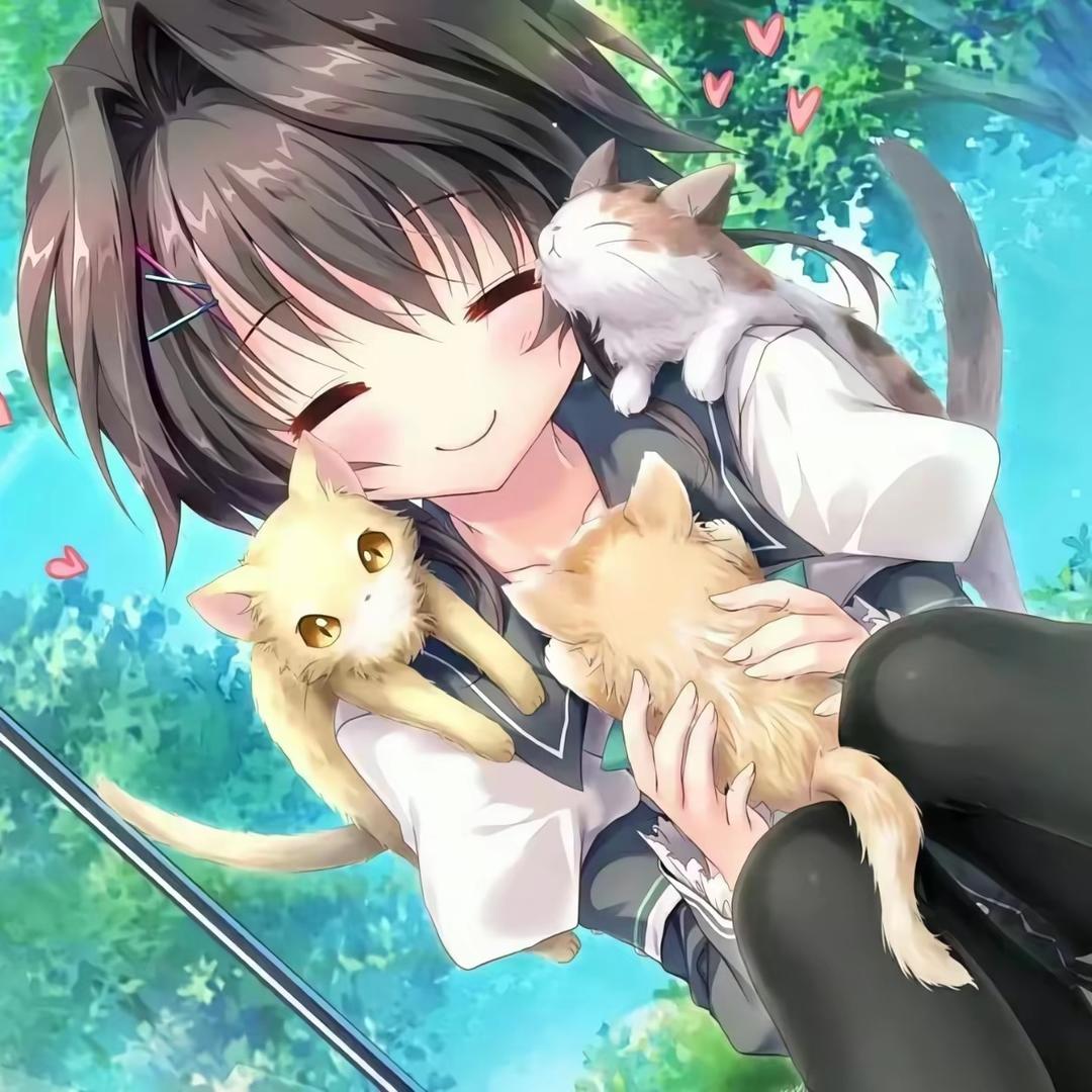 XY