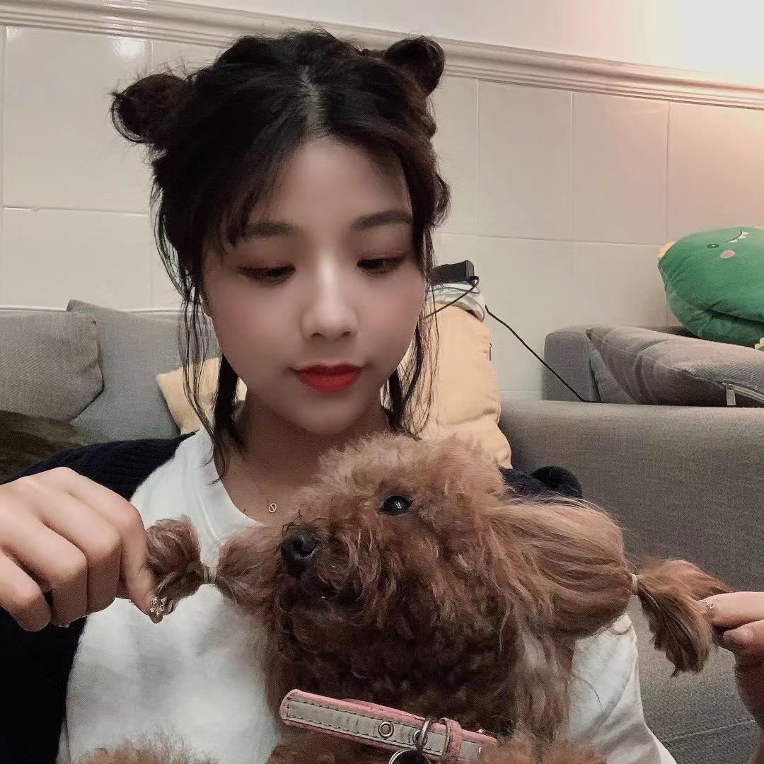 你在猪圈