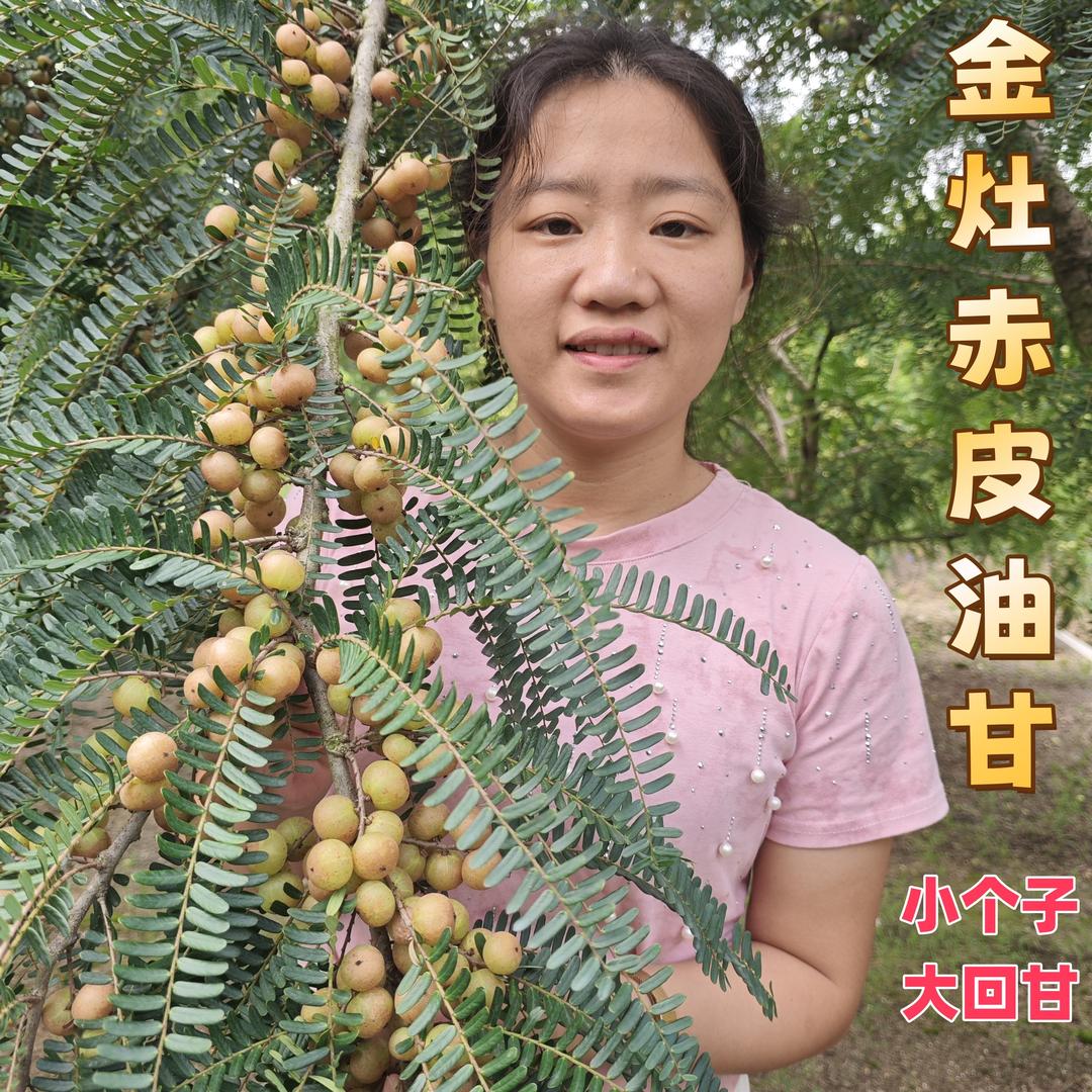 金灶燕娜水果商行