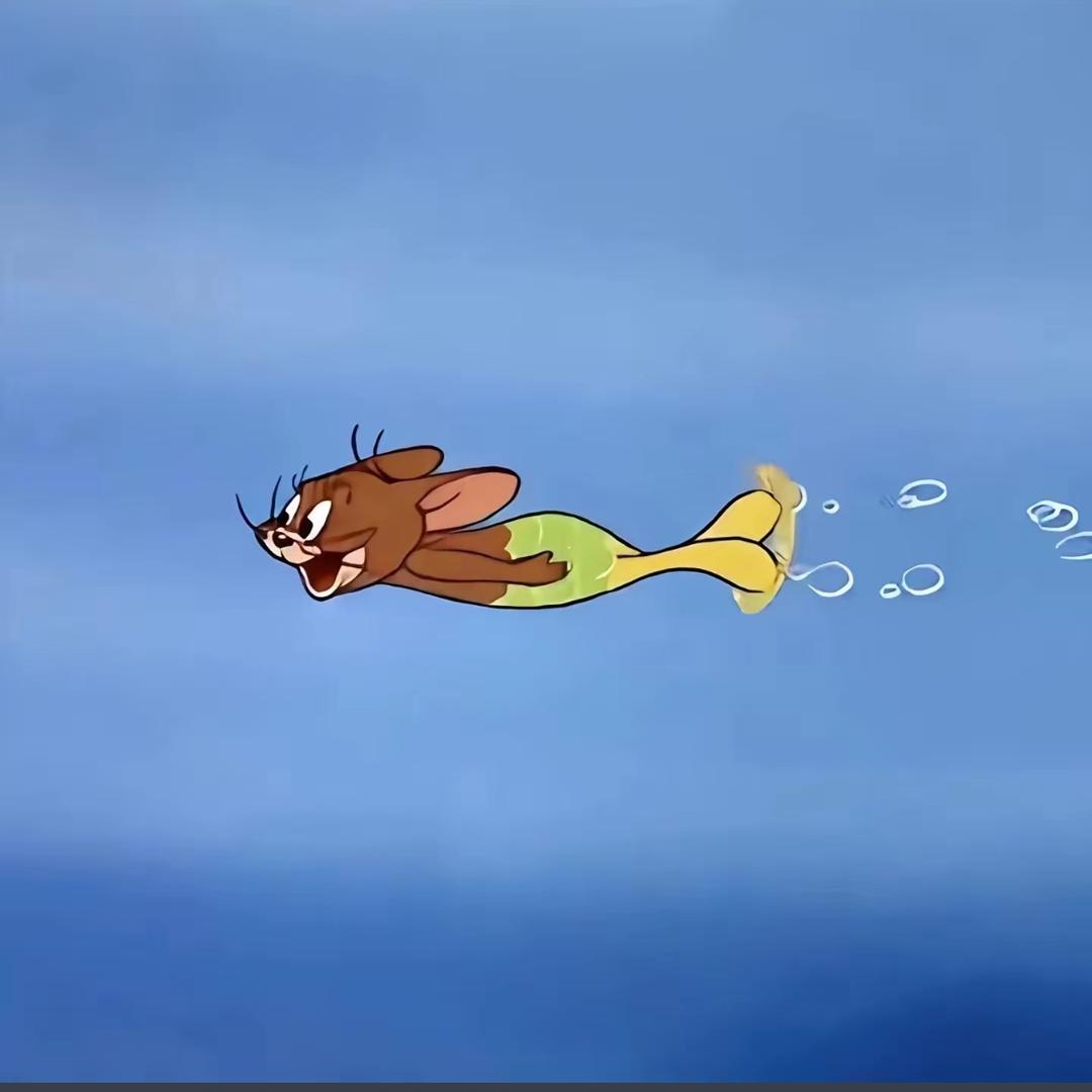 林K.  西柚