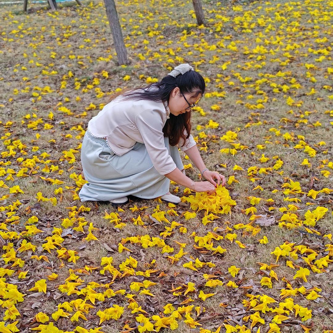 Jy在高州卖房的小倩