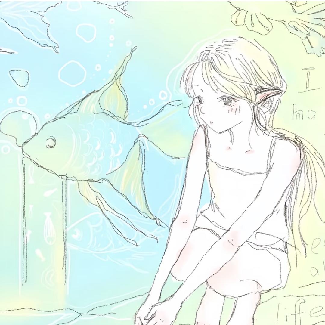 小鱼宝