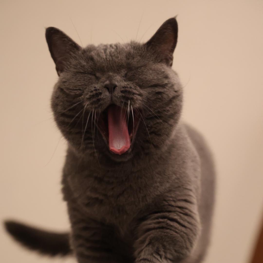 走样
