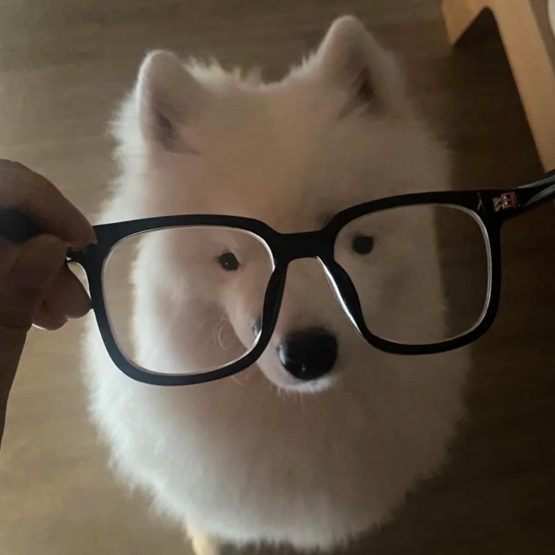 啤瑟头像
