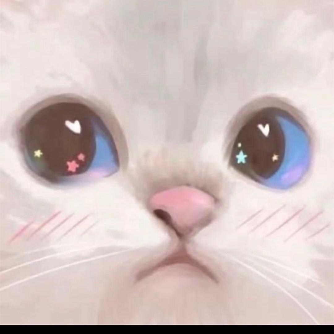 美装精选