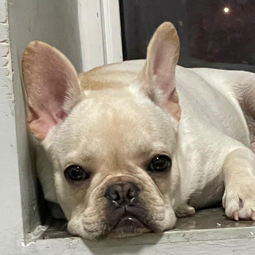 Shawn | 嘉定（上海梵烁）