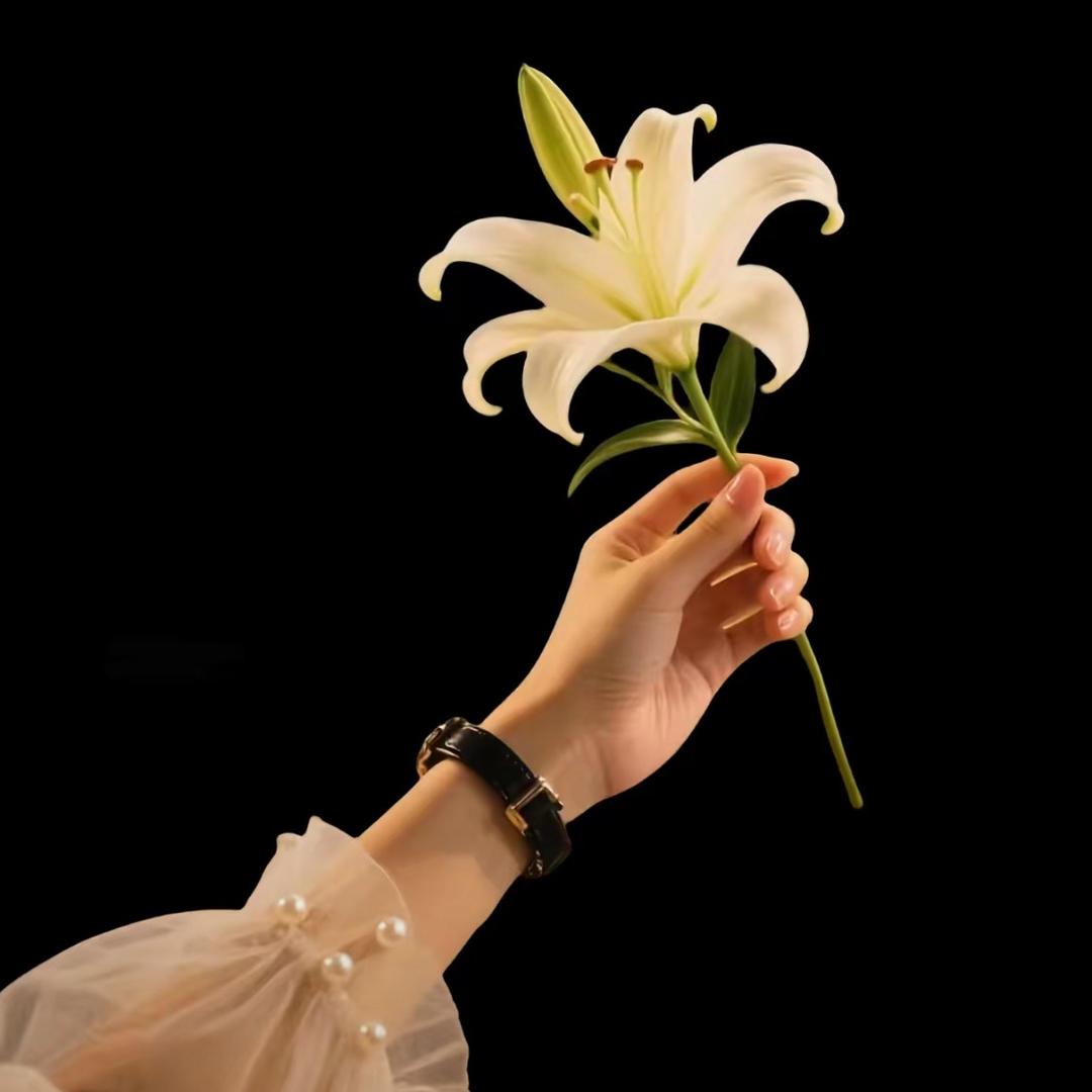 এ ۣꪶꪮꪰꪤꫀ娟