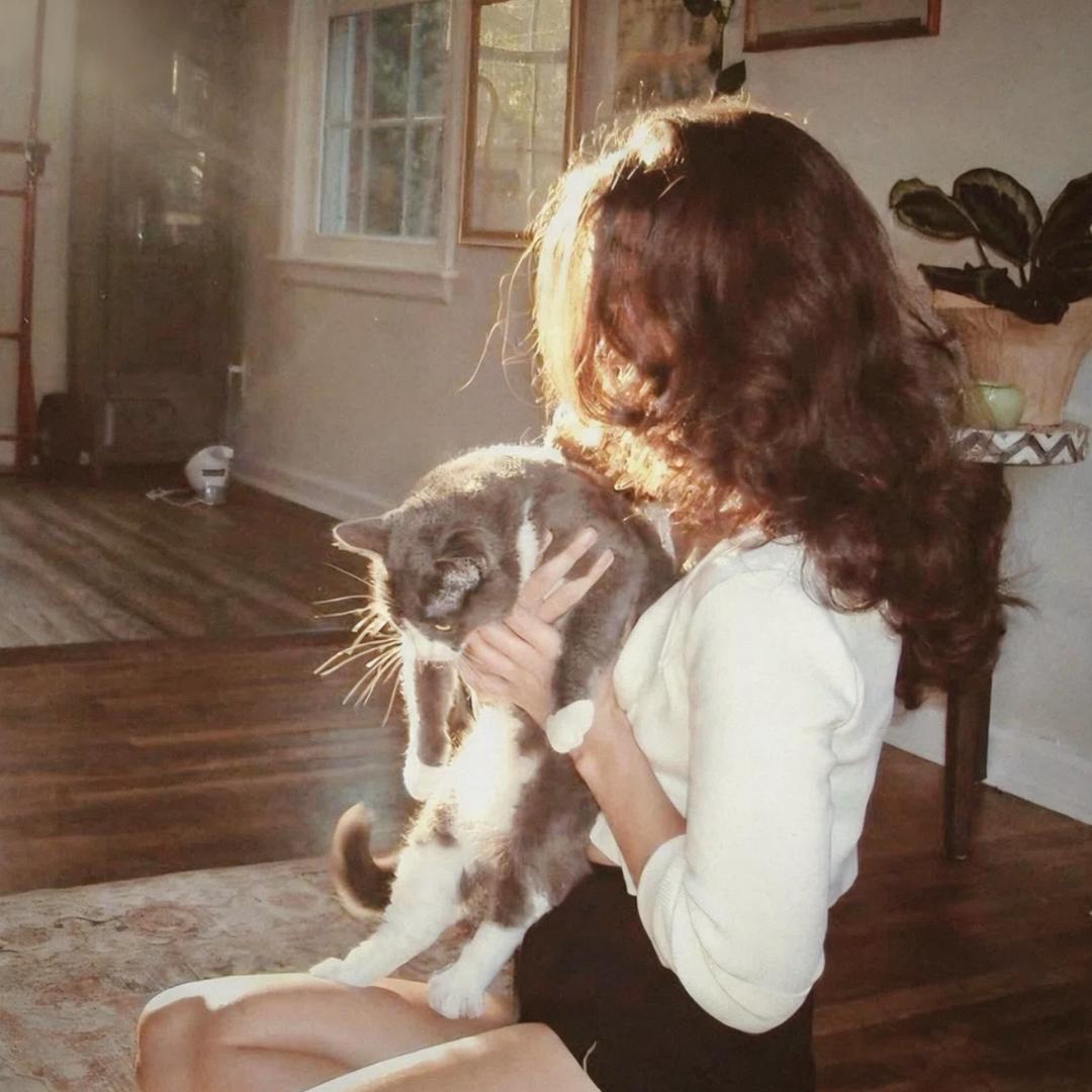 乐安 ￴￴ ￴￴ ￴￴