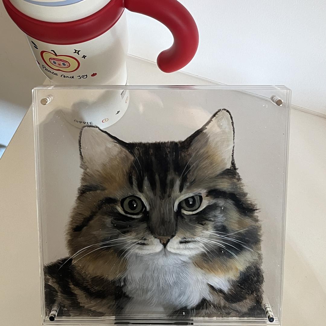 欧欧来