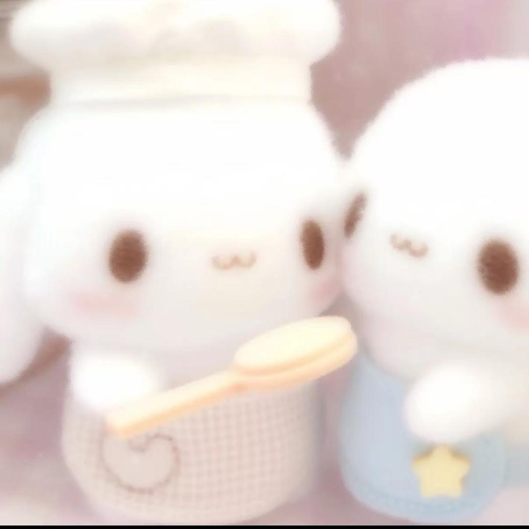 n老师