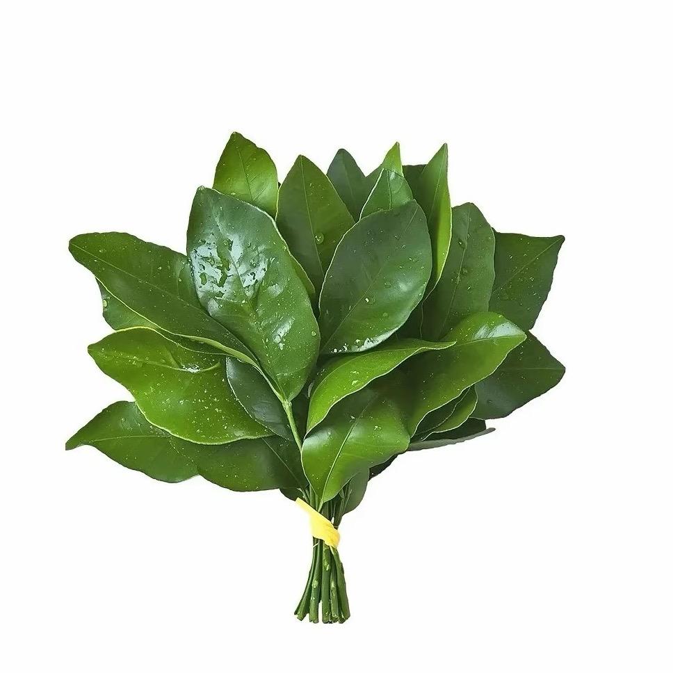 悠悠-