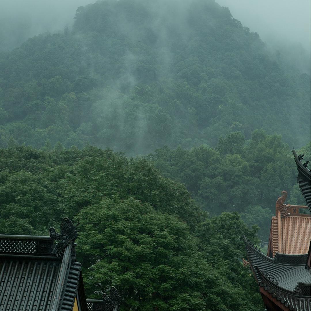 何大师