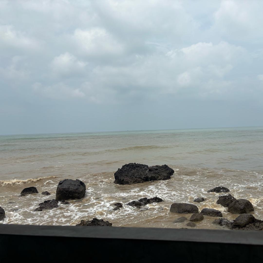 漂洋过海来看你