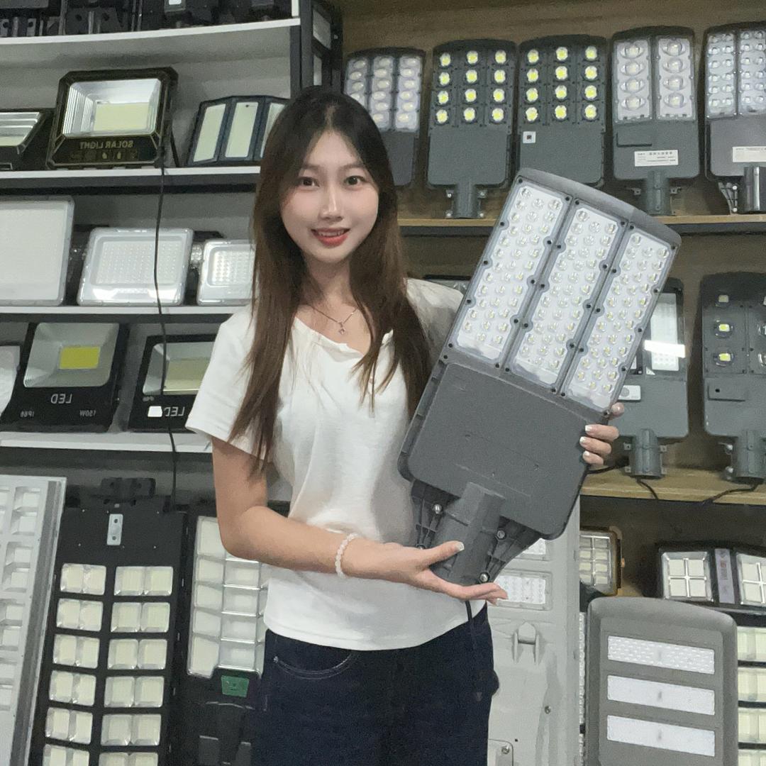 专业太阳能路灯