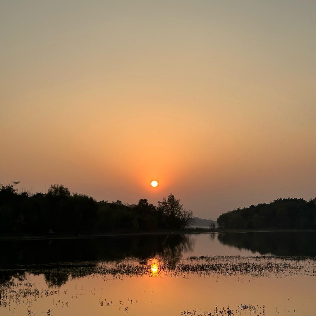 是是是