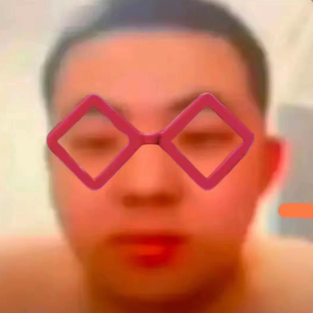 电子狗