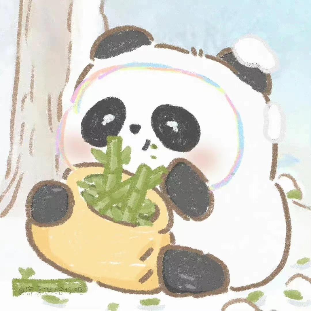 莫辞仪