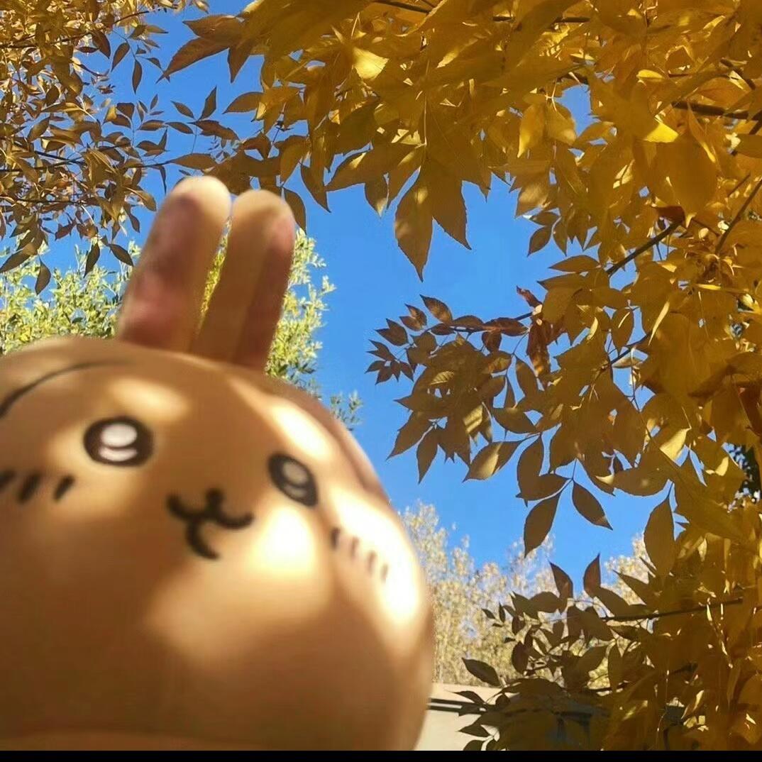 cc好房推荐🍃