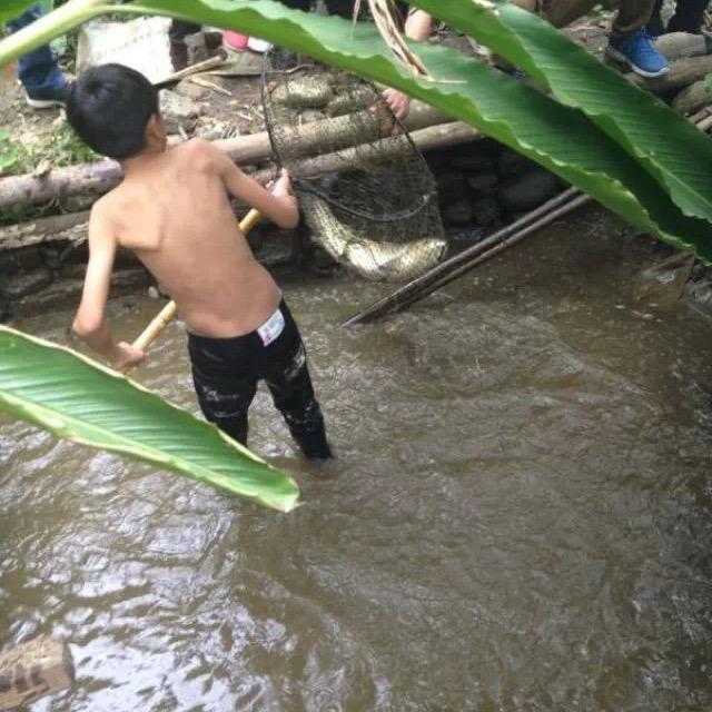 还在原地傻傻地等待