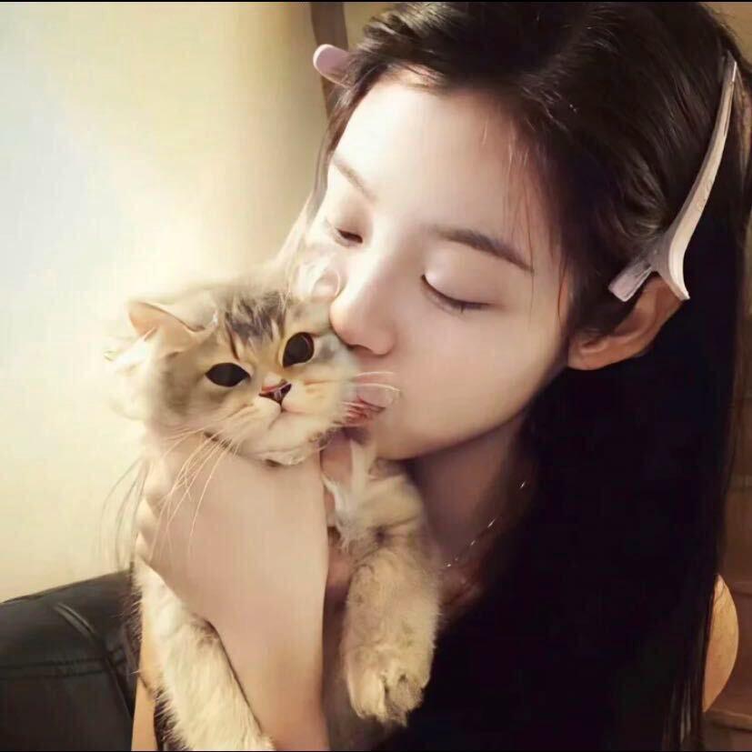 小小yi.（十二月战损版）