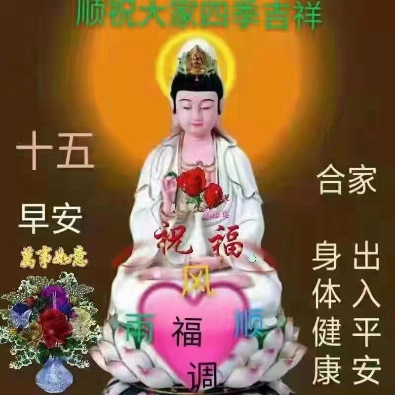 四季如春！🎉