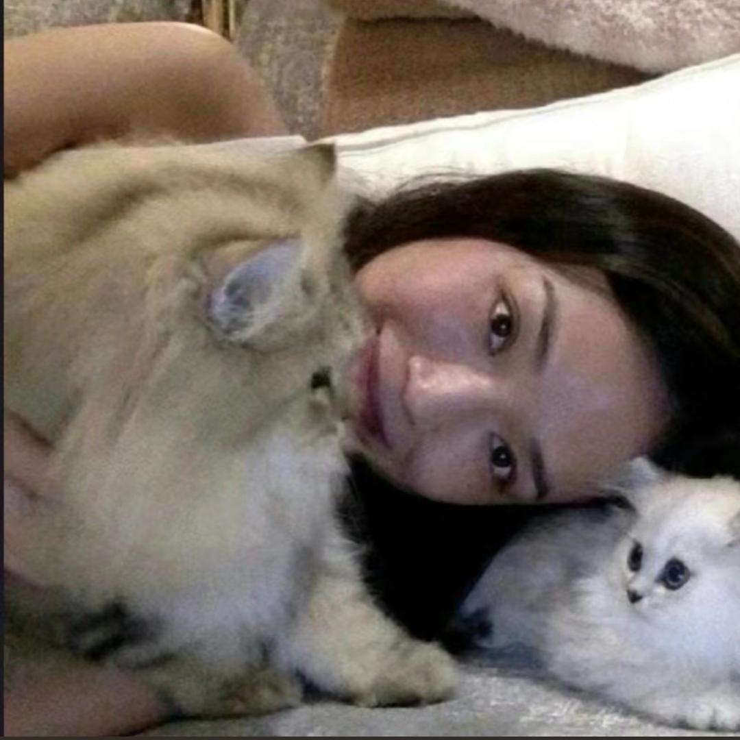 皑皑