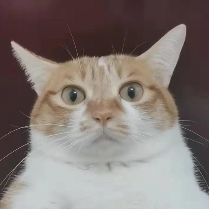 葉一头像