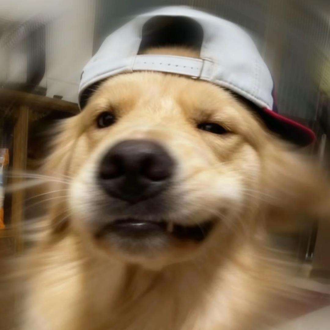 Zzzz
