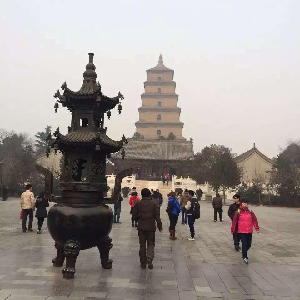 造价师