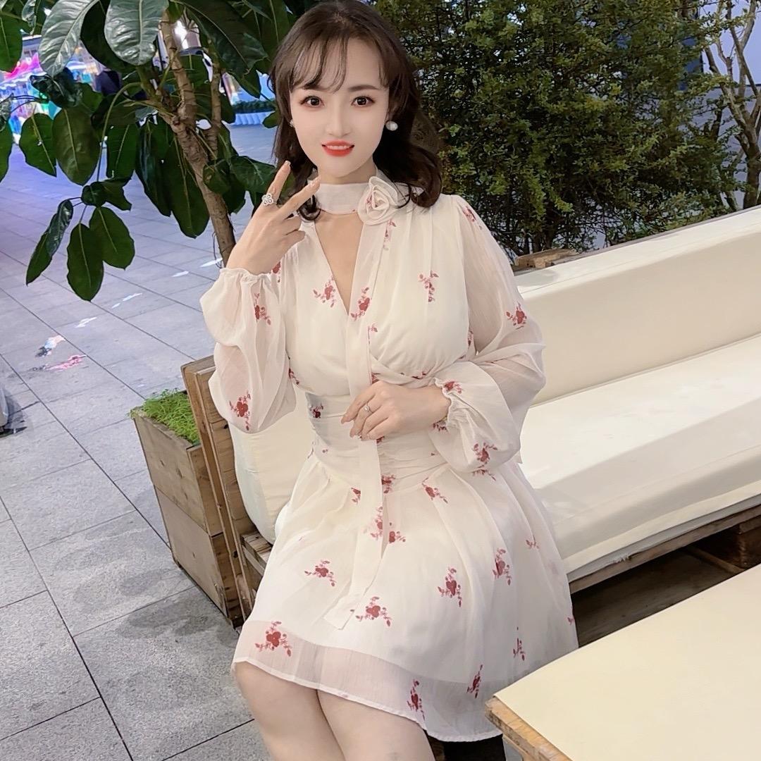 Ml王美丽