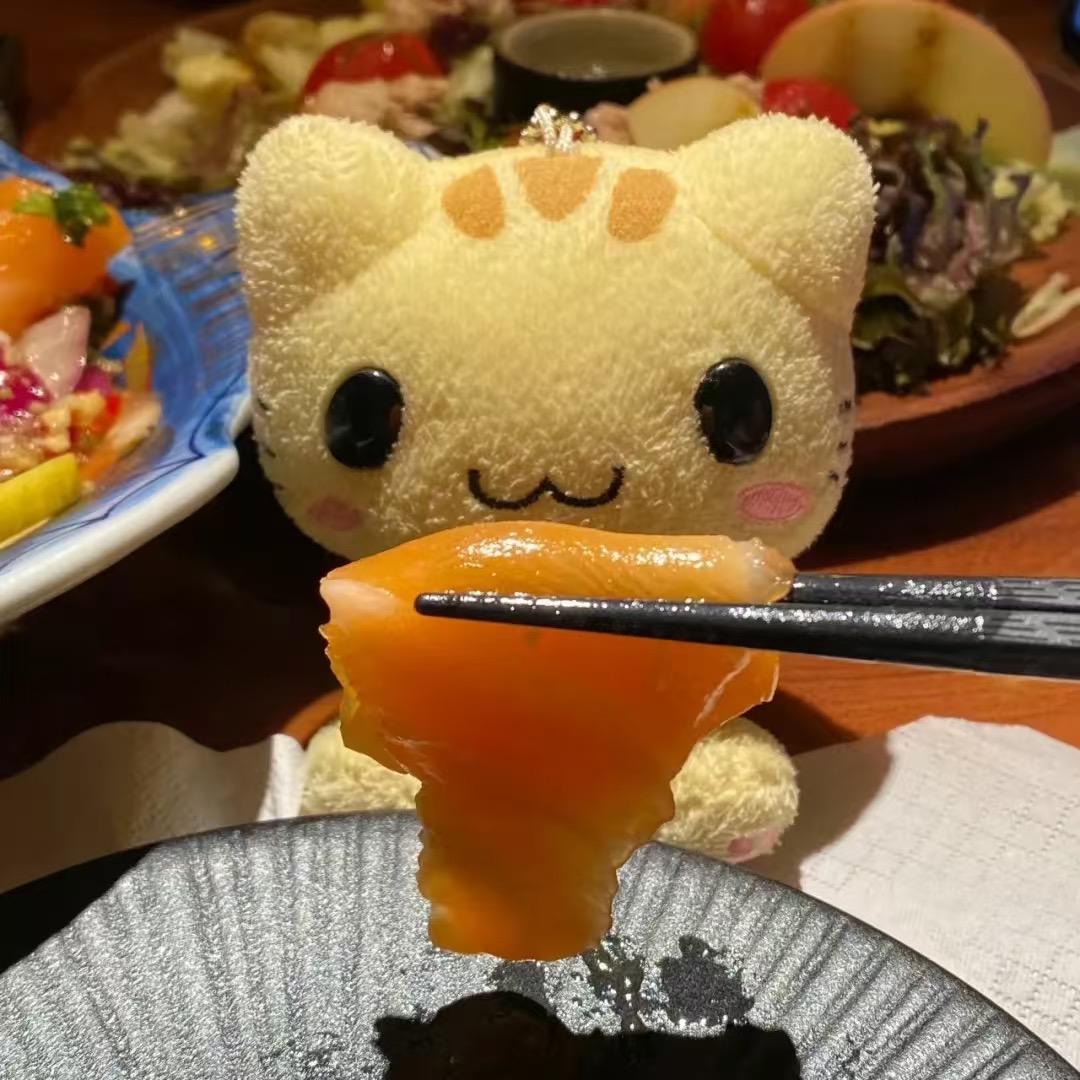 猫猫时光相机
