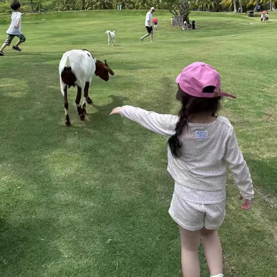 炭烧小肥杨🐑