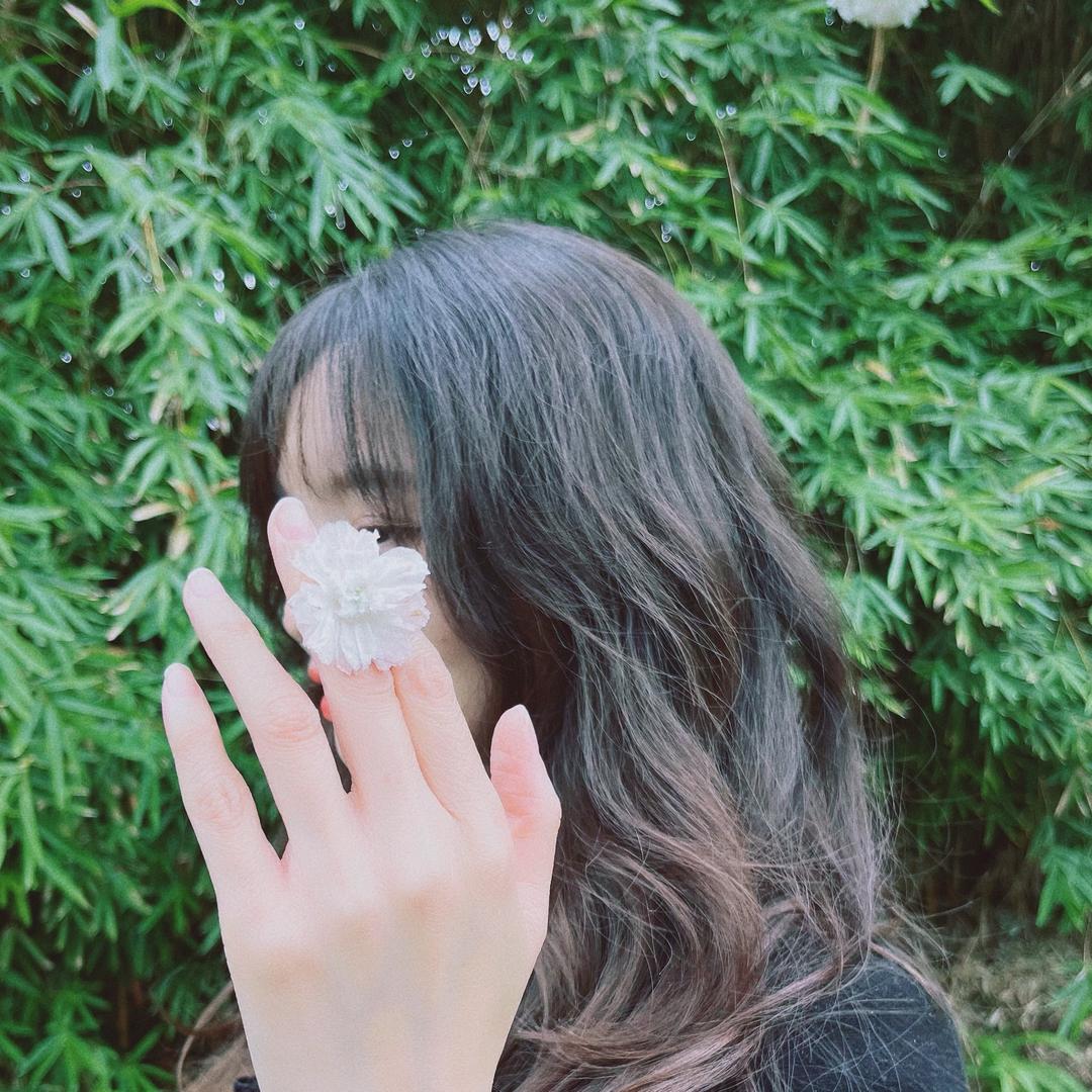 林一树
