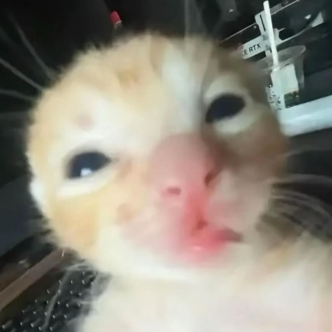 好想吃饭