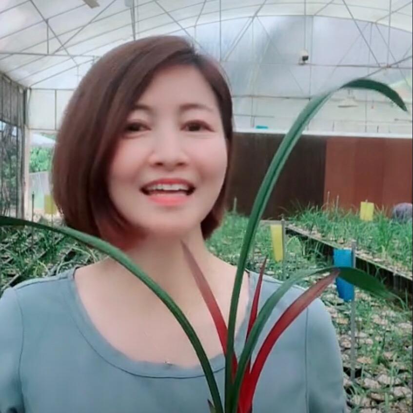蕙质兰心兰园