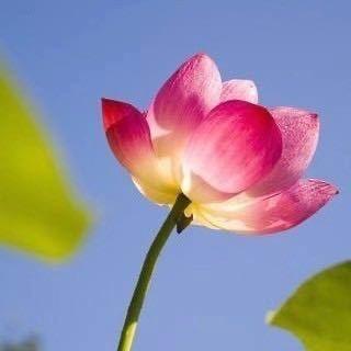 火火