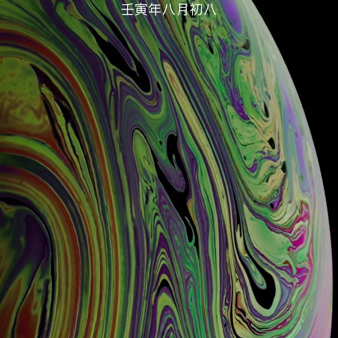 你我无缘98082508