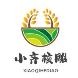 小齐甄选核雕