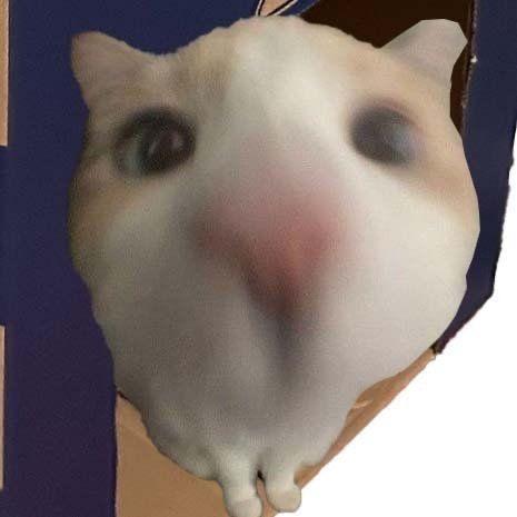 滚
