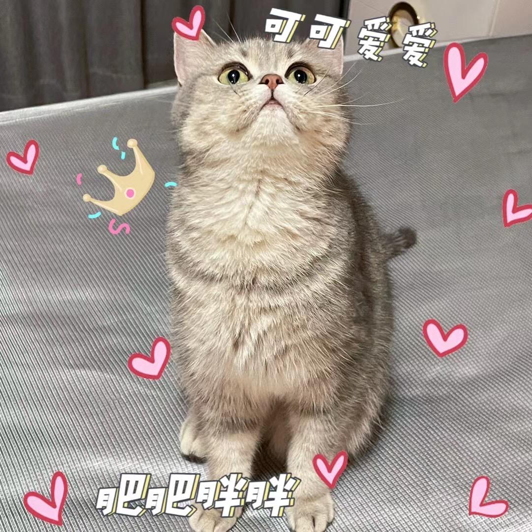 漏漏