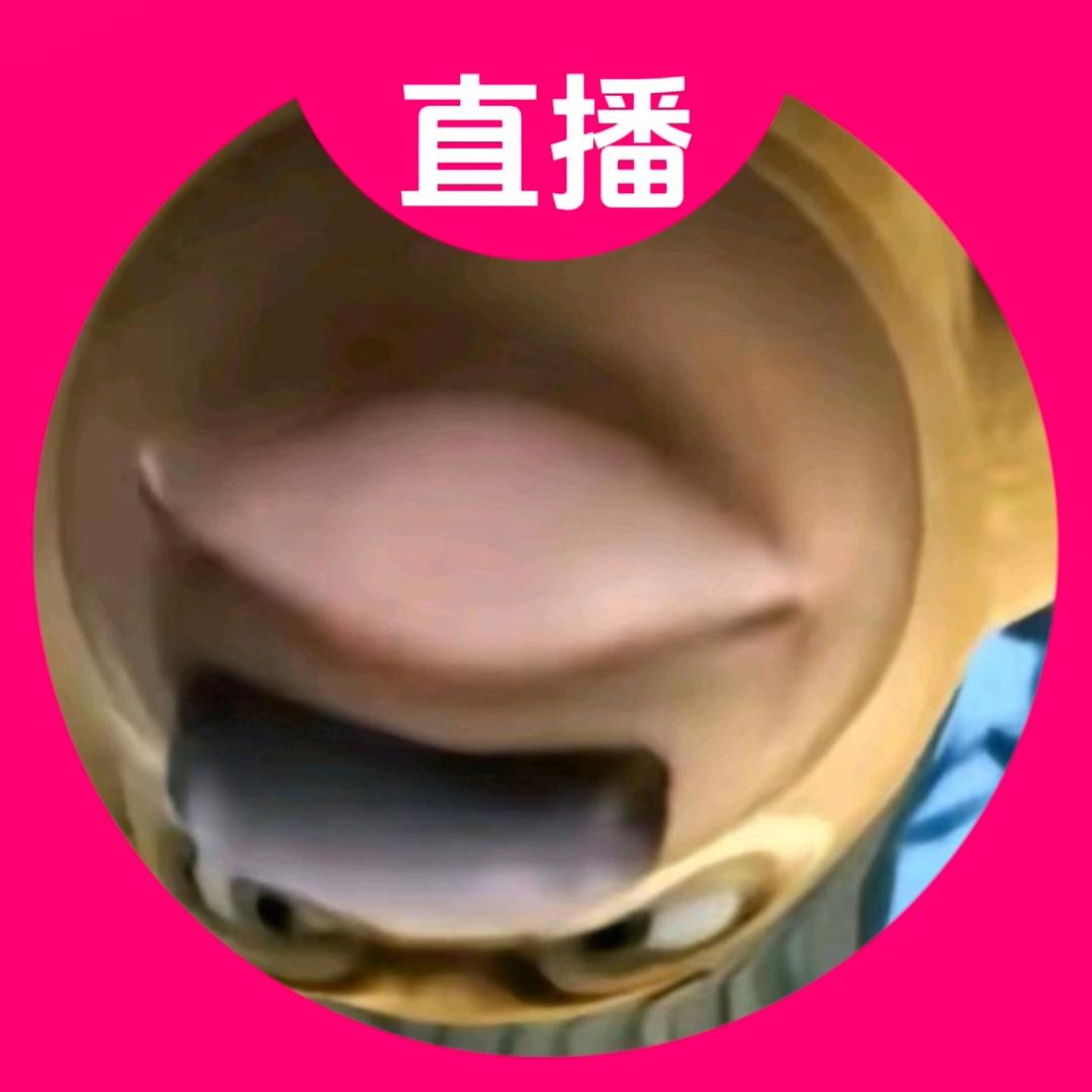 虫二爱录助眠🦌（恩师强哥）