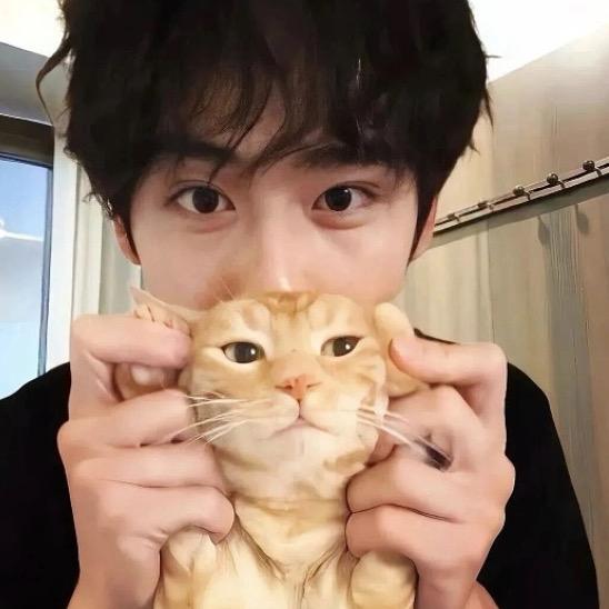 小小怪下士